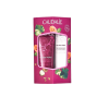Caudalie – DUO HIVER – THÉ DES VIGNES – Crème Gourmande Mains 30ml + Soin des Lèvres 4.5g
