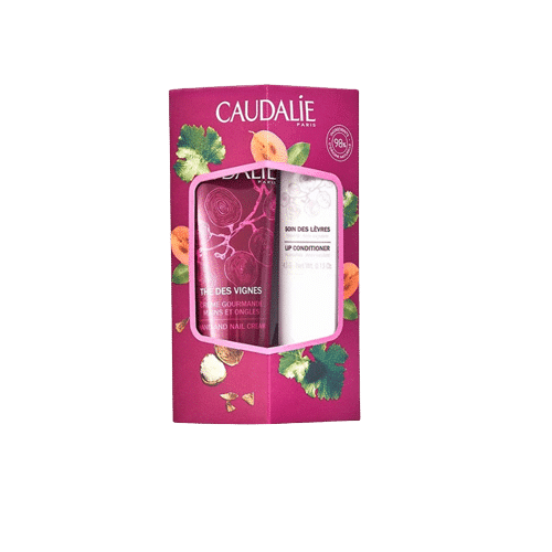 Caudalie – DUO HIVER – THÉ DES VIGNES – Crème Gourmande Mains 30ml + Soin des Lèvres 4.5g