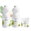 Byphasse Gamme Cheveux Family Fresh Avocat Lisse et Nourrit en Profondeur – Pour Cheveux Ternes Secs Et Abimés