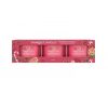 Yankee Candle Peppermint Pinwheels Coffret 3 Votives en Verre
